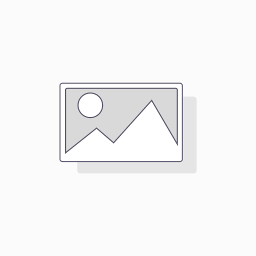 Support annuel hébergement Suisse de Odoo Entreprise